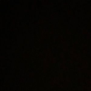 Meet your Posher, Zoe